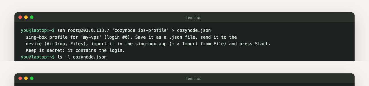 Terminal: the phone profile is saved to cozynode.json